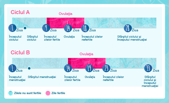 Ilustrație grafica al ciclului menstrual cu informații despre zile fertile.